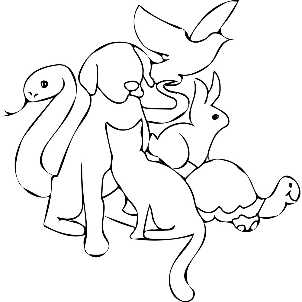 THE CRITTER SITTER Updated May 2024 Request a Quote 19 Photos