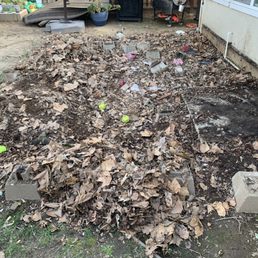 Nastiness under the deck