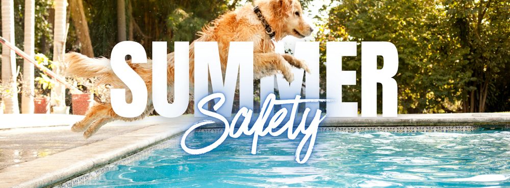 All Care Animal Hospital - pet boarding facility in Minneola, FL