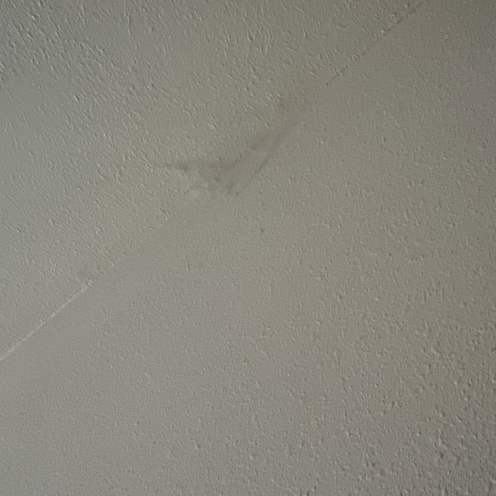 Cob web Cob web