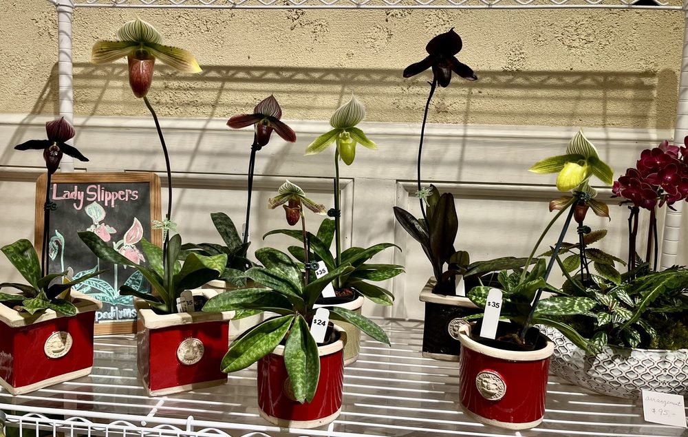 CHADWICK & SON ORCHIDS Updated September 2024 27 Photos & 13