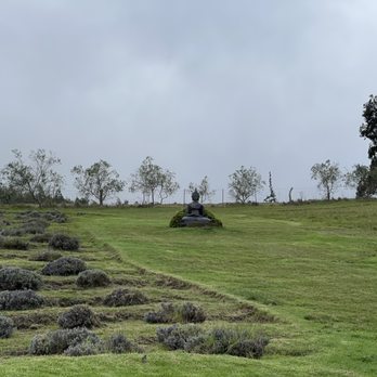 Ali'i Kula Lavender - Tours Near Me - Kula, Hawaii