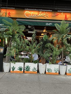 Motorino Pizza by null