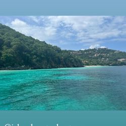 Island Roots