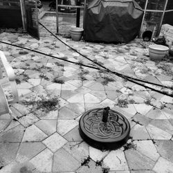 Cole's Pool Service - More weeds