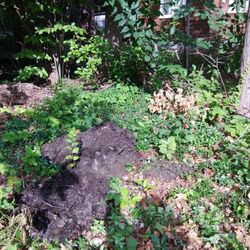 A S Crisafulli Plumbing & Heating