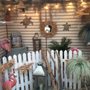 Photo of Anderson Florist & Greenhouse