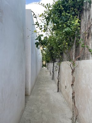 Hotel Punta Caliza by null