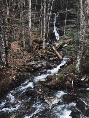 Moss Glen Falls by null