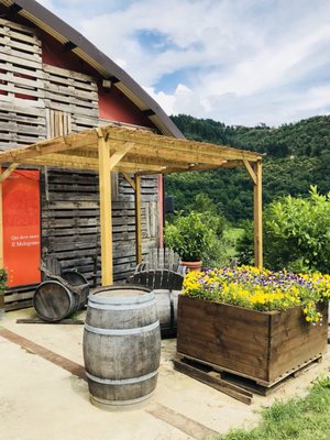 Podere Còncori by null