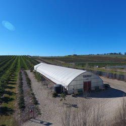 Dewlson Family Farm