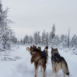 Getting impatient to continue, they enjoy the run so much. Getting impatient to continue, they enjoy the run so much.