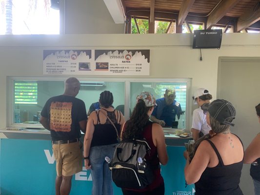 Parque Nacional de las Cavernas del Río Camuy by null