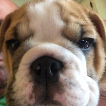 Care Center - Hi - Veterinarians Near Me - Cincinnati, Ohio