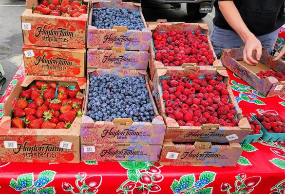 Shoreline Farmers Market by null