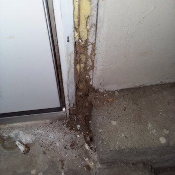 Campbell Termite Control Services - Subterranean termite evidence in a door jamb. - Pest Control Near Me - Garden Grove, California