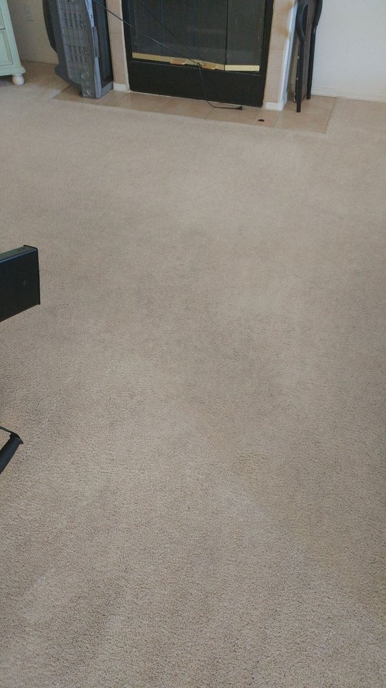 STEVE’S CARPET CLEANING Updated June 2024 3250 N Lynx Lake Dr