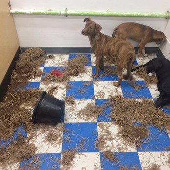 Pets Plus Natural - Pet Stores Near Me - Bensalem, Pennsylvania Pets Plus Natural - Pet Stores Near Me - Bensalem, Pennsylvania