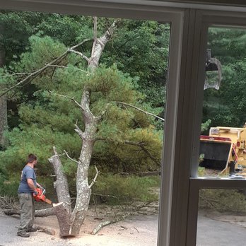 Cleds Tree Services - Tree Services Near Me - Halifax, Massachusetts