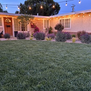 Campos Landscaping - Before and after - Landscaping Near Me Campos Landscaping - Before and after - Landscaping Near Me