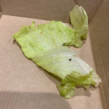 McDonald's - A piece of hair. - Fast Food Near Me - Kissimmee, Florida McDonald's - A piece of hair. - Fast Food Near Me - Kissimmee, Florida