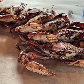 Nicks Fish House - 6 XL crabs - Seafood Near Me - Baltimore, Maryland Nicks Fish House - 6 XL crabs - Seafood Near Me - Baltimore, Maryland