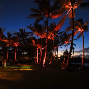 Peterson Event Lighting - Uplights on Palm Trees and Rose Pattern on event area in Hawaii - Party & Event Planning Near Me - North Hollywood, California Peterson Event Lighting - Uplights on Palm Trees and Rose Pattern on event area in Hawaii - Party & Event Planning Near Me - North Hollywood, California