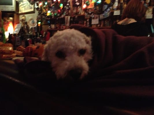 Northeast Taproom by null