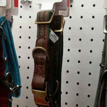 Petco - Nice collars - Pet Training Near Me - Manteca, California Petco - Nice collars - Pet Training Near Me - Manteca, California