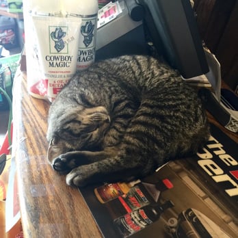 Wilson Feed Mill - Friendly cat on staff... - Nurseries & Gardening Near Me - Valley View, Ohio