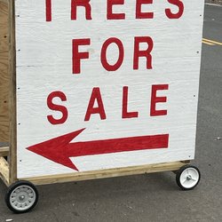 Nearest Christmas Trees
