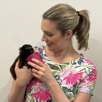 Funky Monkey Ranch - Baby lemur - Attraction Farms Near Me - Burleson, Texas