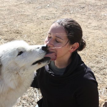 Wild Spirit Wolf Sanctuary - Forest - Zoos Near Me - Ramah, New Mexico Wild Spirit Wolf Sanctuary - Forest - Zoos Near Me - Ramah, New Mexico
