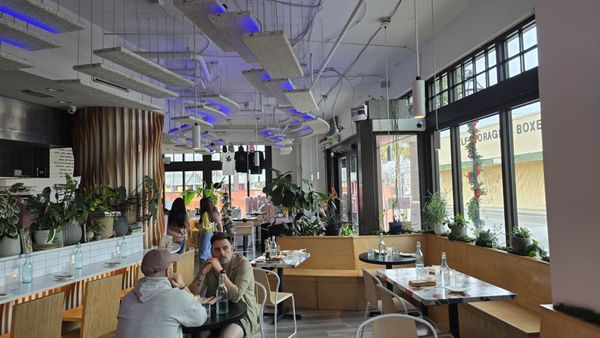 Pink Bellies by null