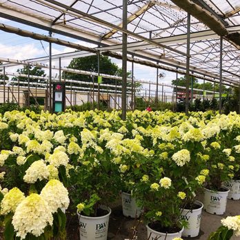 Sanders Nursery & Distribution Center - Nursery - Nurseries & Gardening Near Me - Broken Arrow, Oklahoma