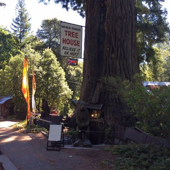 Tree House - Shopping Near Me - Piercy, California