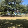 Photo of Central Park