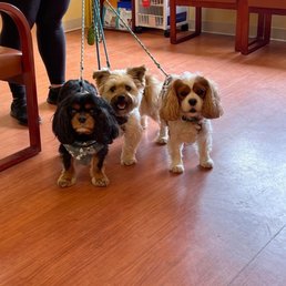 Vet office