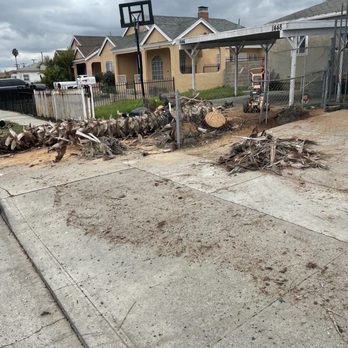 Skyline R Tree Service - Tree Services Near Me Skyline R Tree Service - Tree Services Near Me