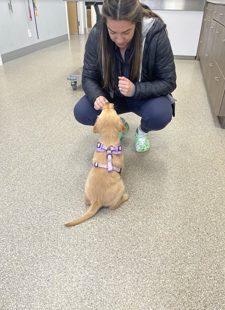 POWDER MILL ANIMAL HOSPITAL Updated August 2024 31 Photos & 31