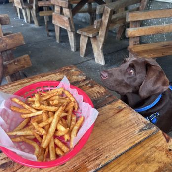 Iguanas - Fries for the pup - Seafood Near Me - St. Simons, Georgia