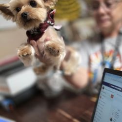 Shadowood Pet Resort - Mom says im handsome
