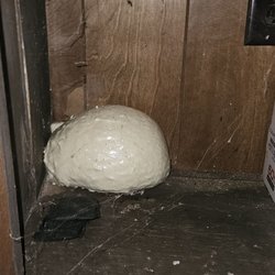 Little Bear Rentals - Spider web/cobwebs inside a dirty cabinet located in the living room