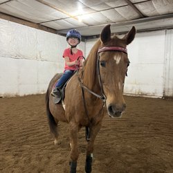 Westwood Farm