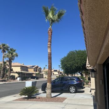 Toros Landscaping - Landscaping Near Me Toros Landscaping - Landscaping Near Me