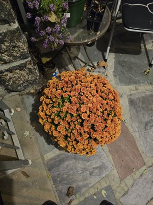 DuBois Farms by null