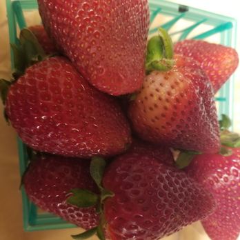 Starberry Farms - Fresh and very sweet strawberries - Fruits & Veggies Near Me - San Dimas, California Starberry Farms - Fresh and very sweet strawberries - Fruits & Veggies Near Me - San Dimas, California