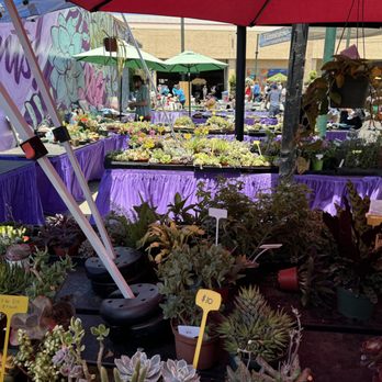 San Diego County Fair - Our favorite plant vendor - Festivals Near Me - Del Mar, California San Diego County Fair - Our favorite plant vendor - Festivals Near Me - Del Mar, California