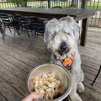 The Smiling Dog - Chicken for dog - Pubs Near Me - Baton Rouge, Louisiana The Smiling Dog - Chicken for dog - Pubs Near Me - Baton Rouge, Louisiana