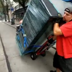 Midnight Pioneer Movers